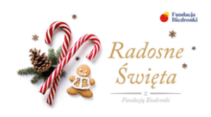 Read more about the article Radosne Święta z Fundacją Biedronki